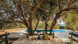 Une table de pique-nique installée sous de grands arbres, avec une piscine en arrière-plan.