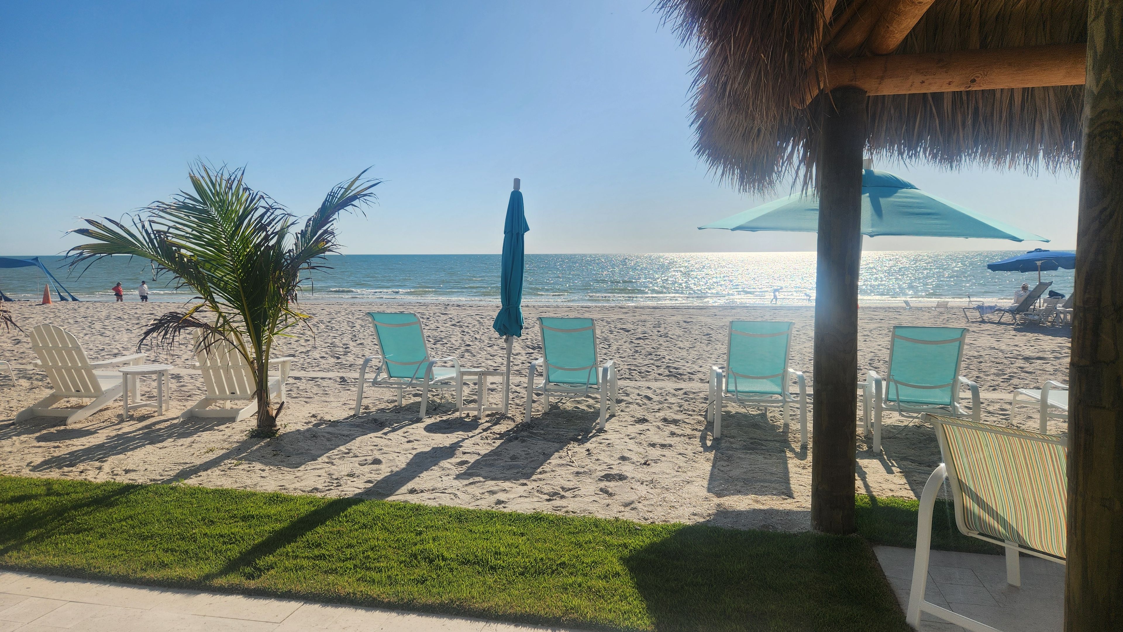 Une vue sur la plage avec des chaises longues et des parasols, un palmier et une structure dotée d’un toit de chaume.