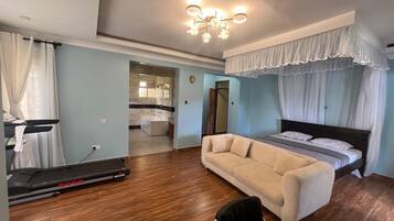 Laptop workspace, iron/ironing board, WiFi (free)