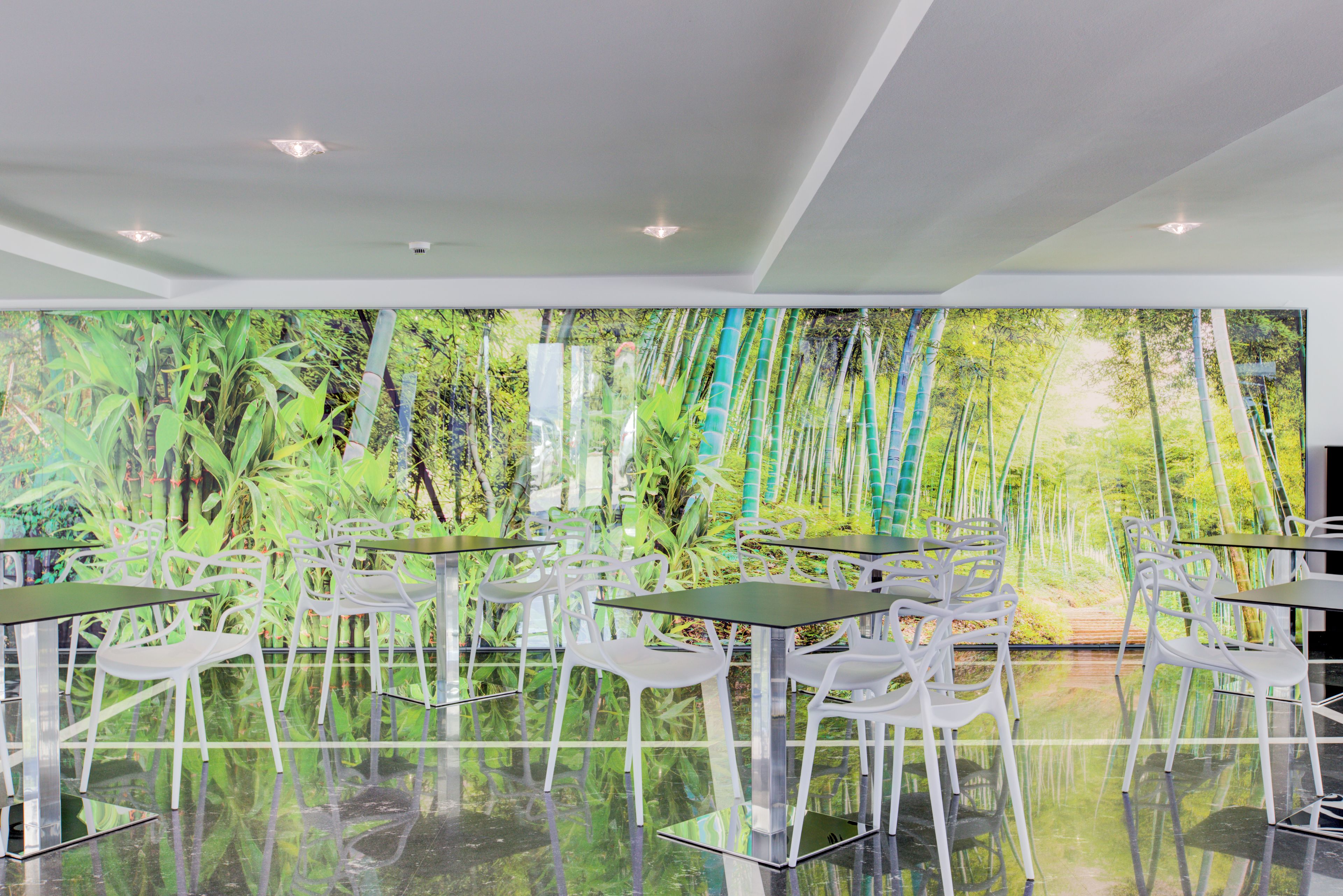 A modern interior with a large wall mural of bamboo forest, reflective flooring, and white chairs with black tops.