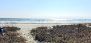 A beach with a sandy path leading to the water, surrounded by dry grass and a trash bin. - Couples Getaway 105 -1BR Gold Coast, Cherry Grove (North Myrtle Beach)