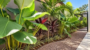 A landscaped garden with various tropical plants, a gravel pathway, and a metal fence. - STUDIO 04 (Vinhedo)