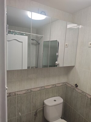 Un bagno con il WC, una doccia e uno specchio.