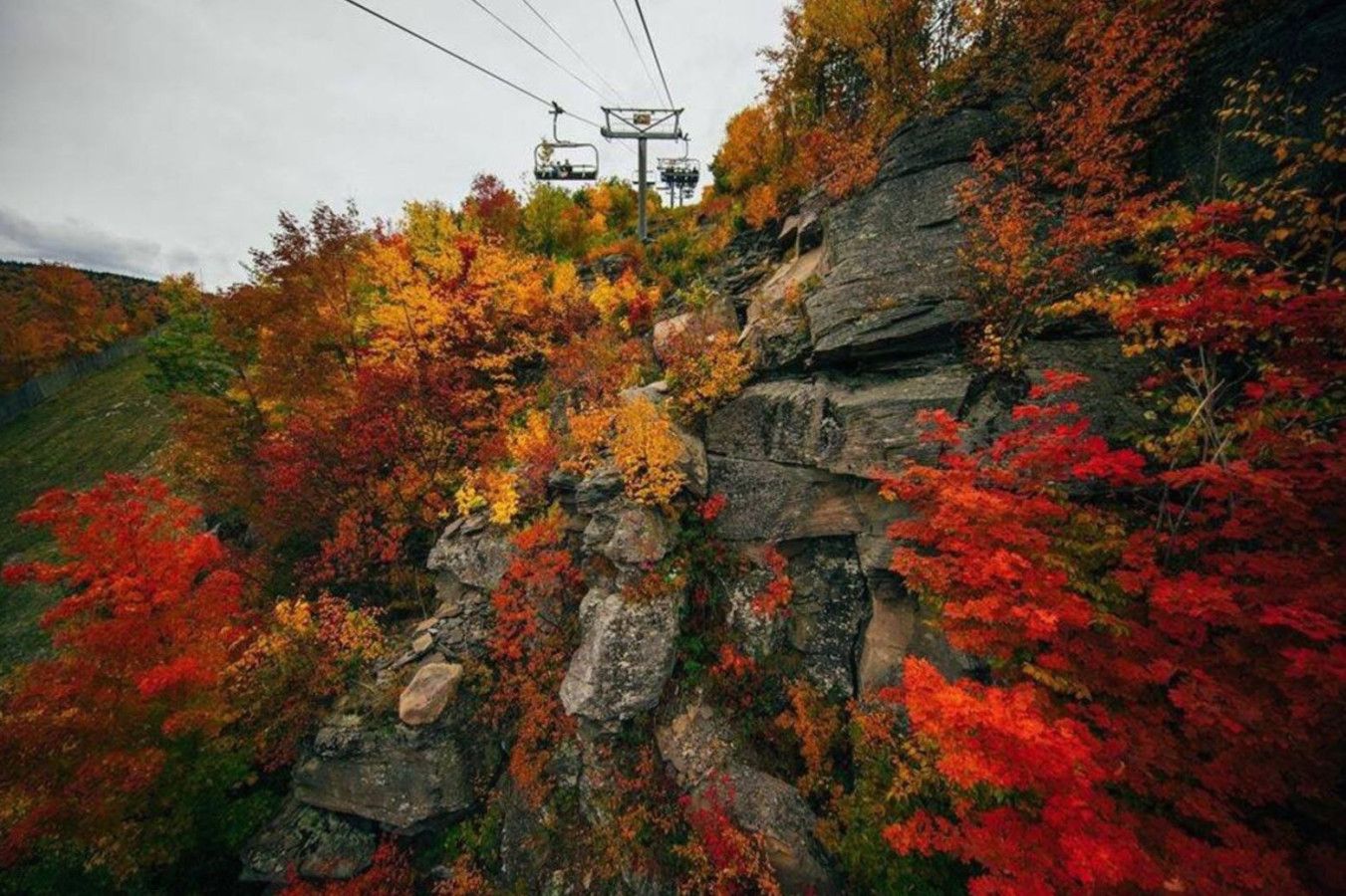 Ein felsiges Gelände mit Herbstlaub und einer Seilbahn.