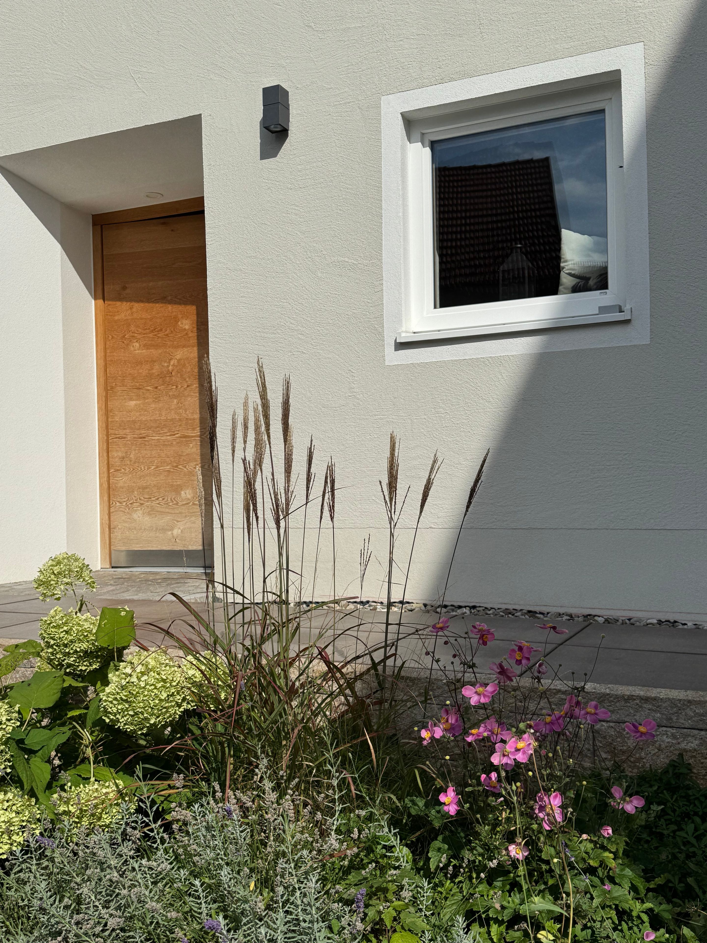 En modern byggnad med en trädörr, ett fönster och en trädgård med olika växter och blommor.