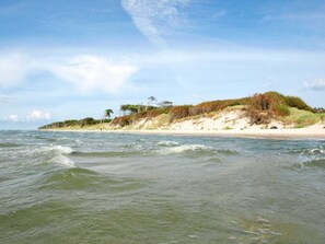 Una playa con olas, una orilla arenosa y vegetación en una duna.