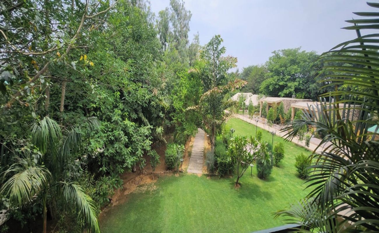 A lush garden with a variety of trees and shrubs, a clear pathway, and a well-maintained lawn.