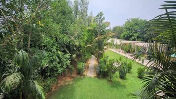A lush garden with a variety of trees and shrubs, a clear pathway, and a well-maintained lawn.