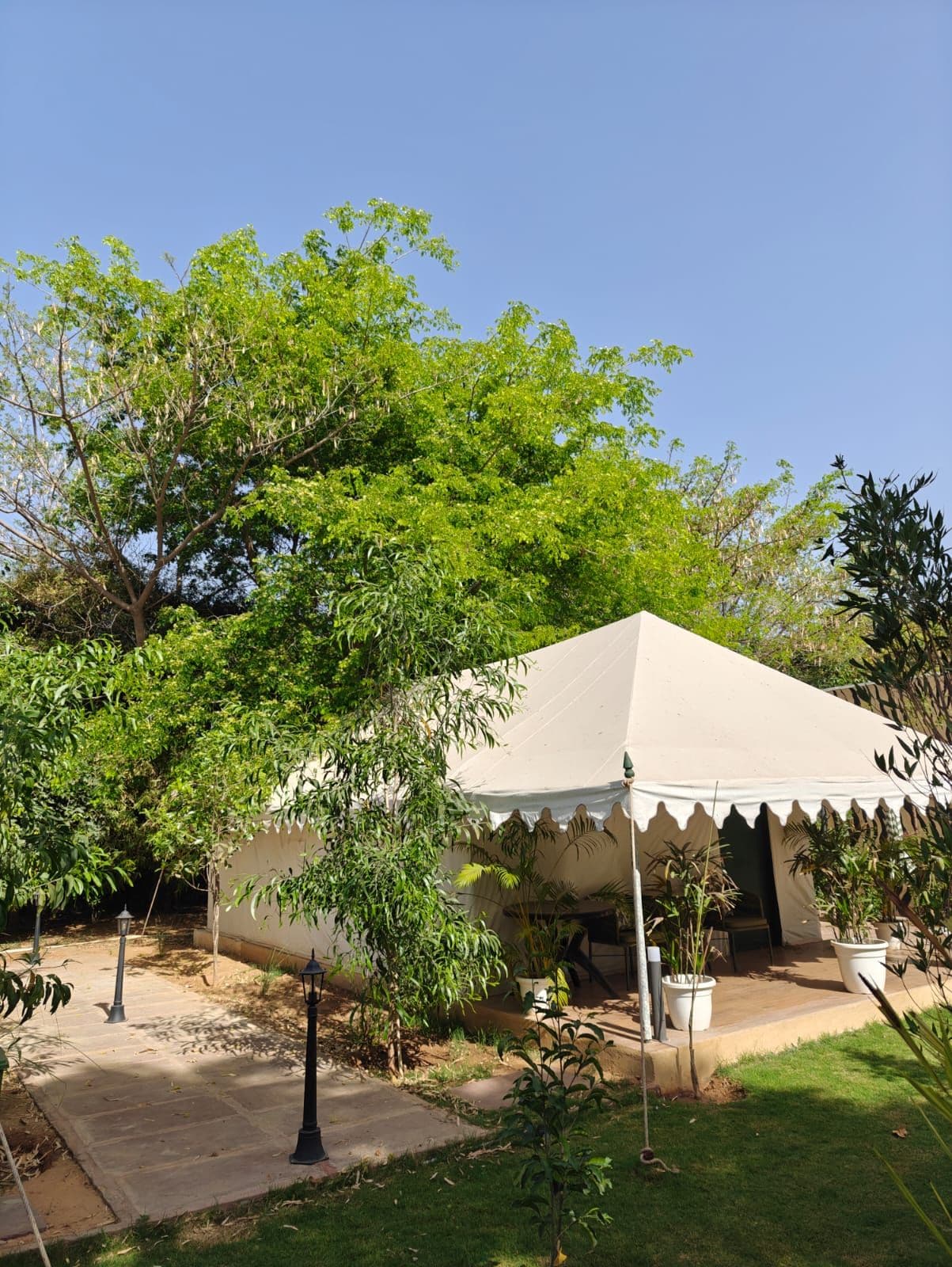 Eine Zelthalle mit gepflasterter Terrasse, umgeben von üppiger Vegetation und Bäumen.