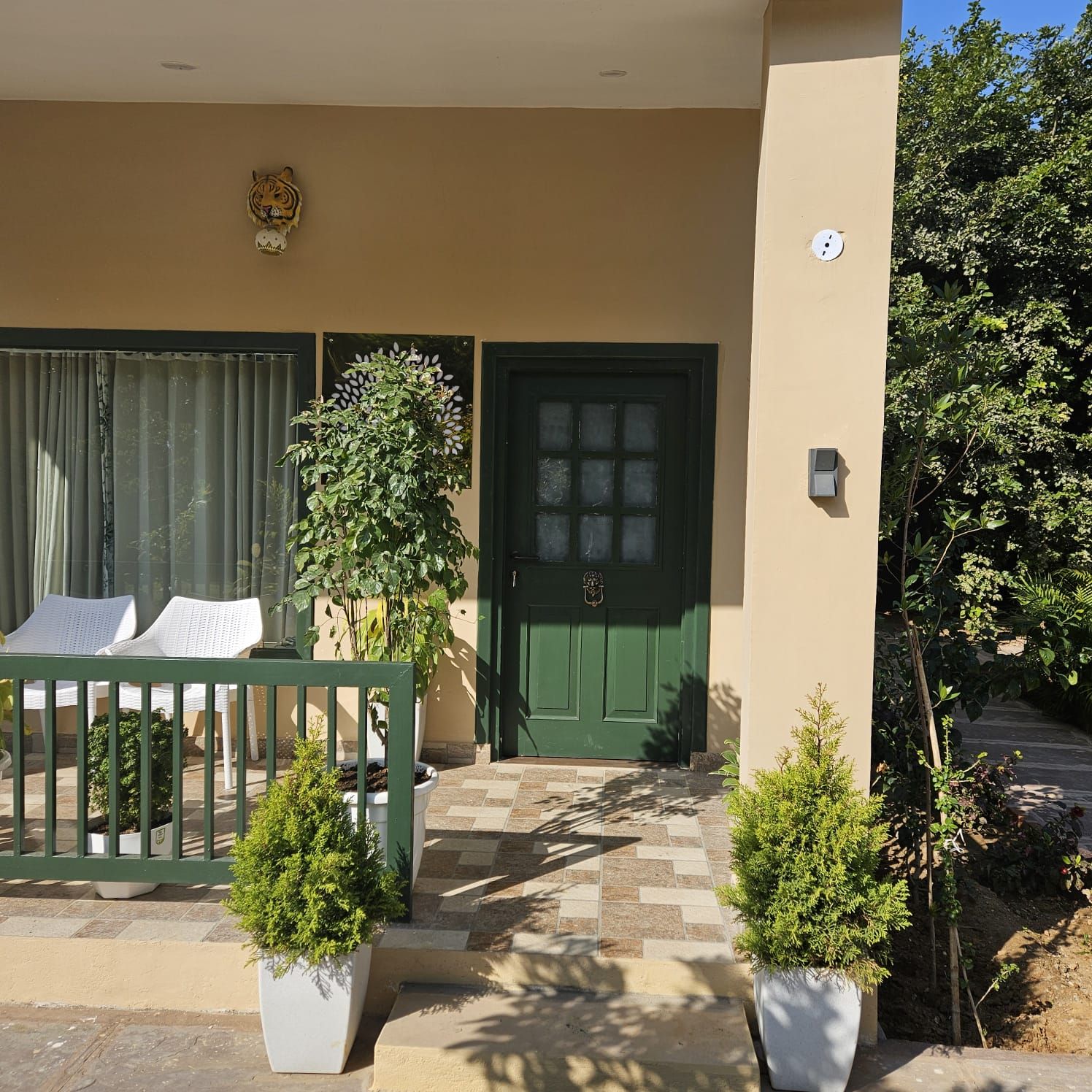 Una entrada de edificio con una puerta verde, un pequeño jardín con plantas en macetas y una silla blanca en el exterior.