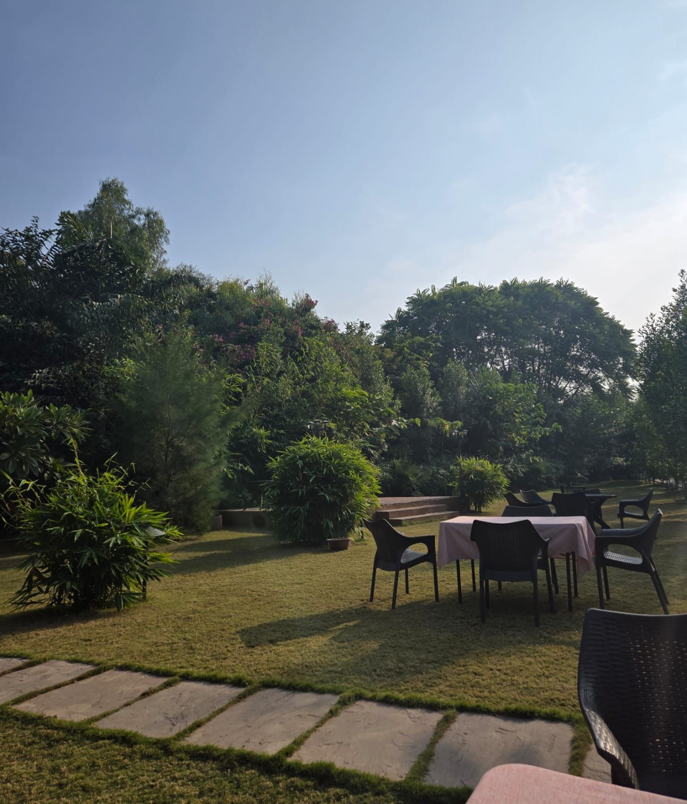 An outdoor seating area with tables and chairs, surrounded by lush greenery and trees.