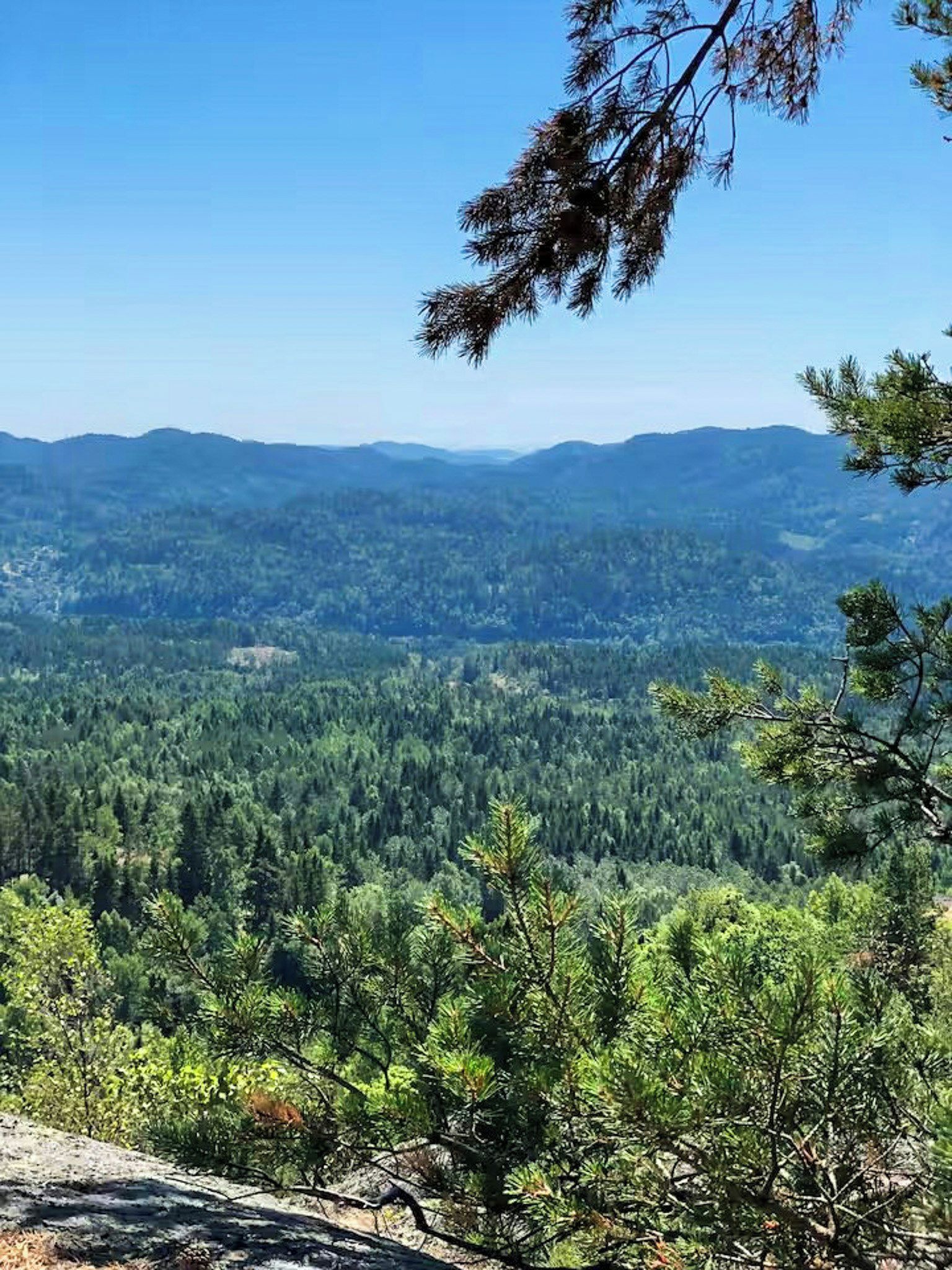 Un paysage montagneux, avec une forêt dense et un ciel dégagé.