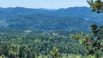 Un paysage montagneux, avec une forêt dense et un ciel dégagé.