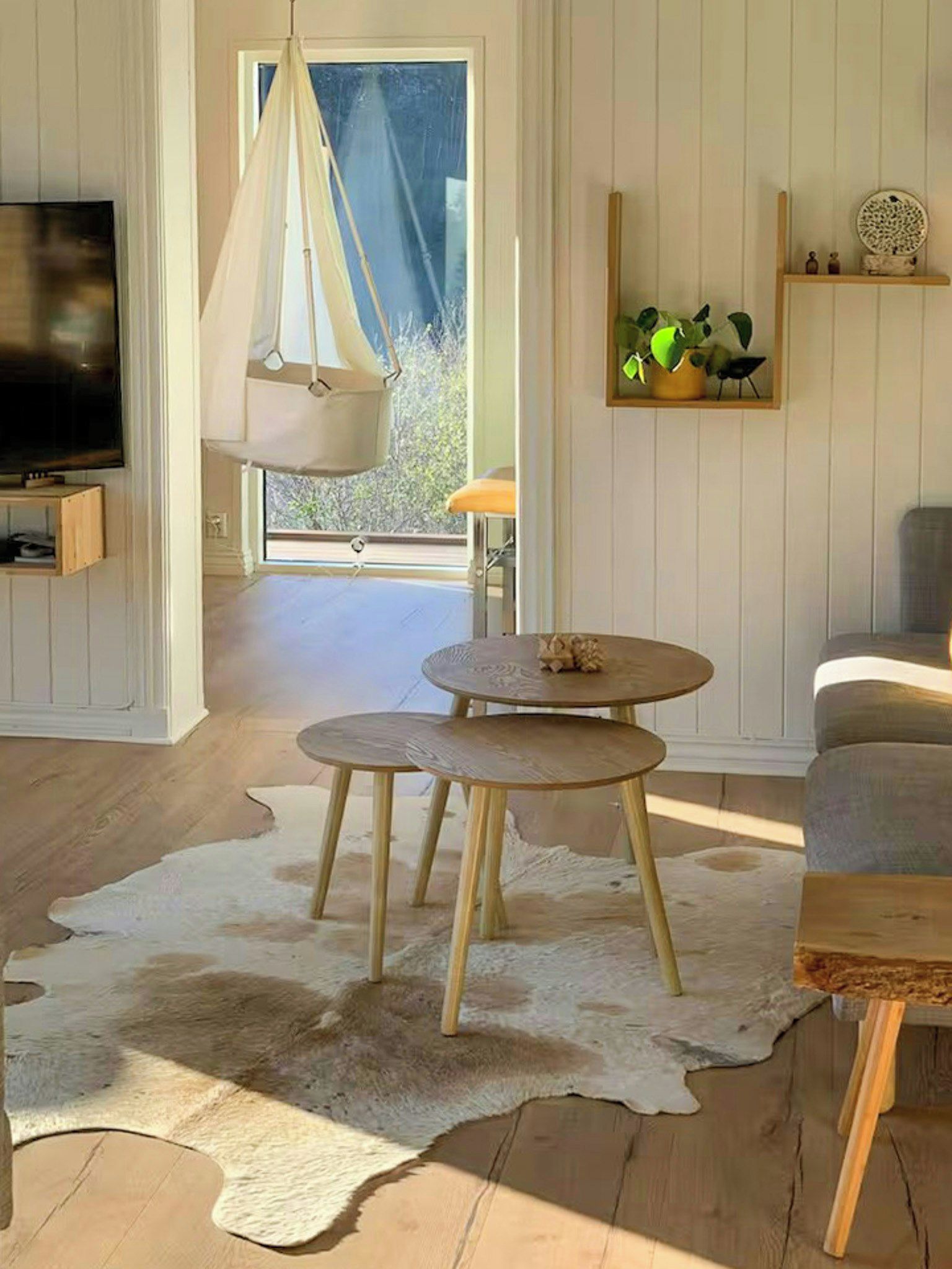 A room with a television, a hanging chair, a round table with stools, a cowhide rug, and a shelf with decorative items.