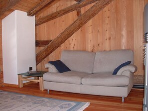 A room with a wooden ceiling, a grey sofa with a dark cushion, a small wooden table, and a patterned rug. - A historic house in a small mountain village near the Adamello-Brenta Nature Park. (Ragoli - Tre Ville)