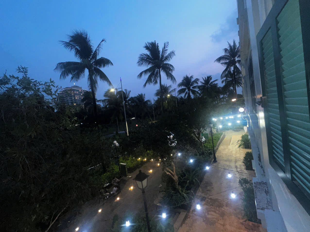 A pathway lined with palm trees and street lamps, leading to a building with a green shuttered window.