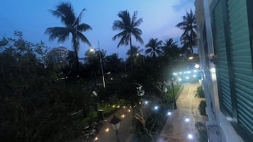 A pathway lined with palm trees and street lamps, leading to a building with a green shuttered window.
