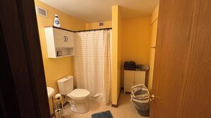A bathroom with a toilet, a shower curtain, a cabinet, and a rug. - EAA Exquisite 6-bedroom 3.5 bathroom house w AC on water only 8 minutes from EAA (Oshkosh)
