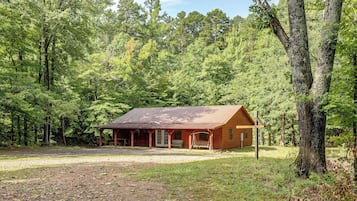 A rustic cabin with a metal roof, surrounded by dense forest.