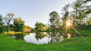 A tranquil pond surrounded by lush greenery and trees, with a wooden structure in the foreground.