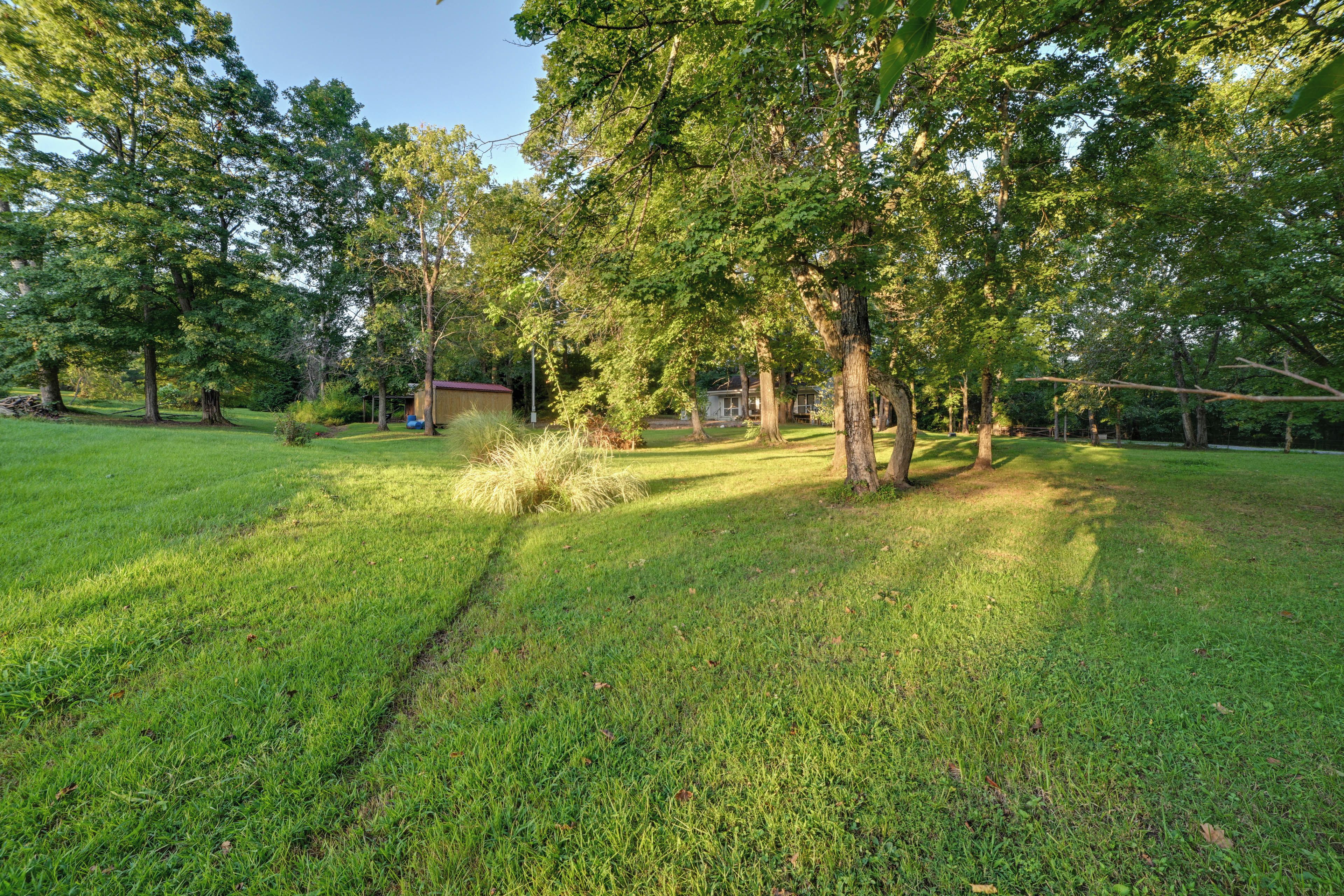 A grassy outdoor area with trees and a small building.