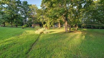 A grassy outdoor area with trees and a small building.