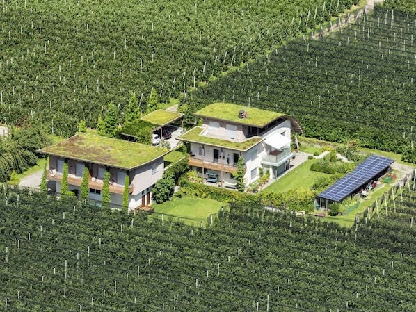 A modern two-story house with a green roof, surrounded by a vineyard. - "green" on the Sandwiesen Farm (Gargazzone)