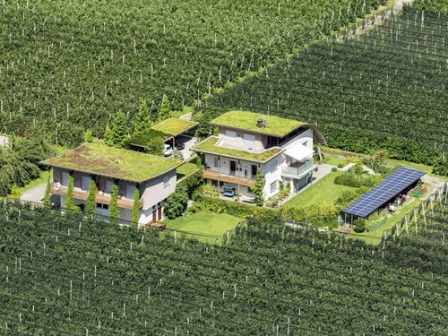 "green" on the Sandwiesen Farm