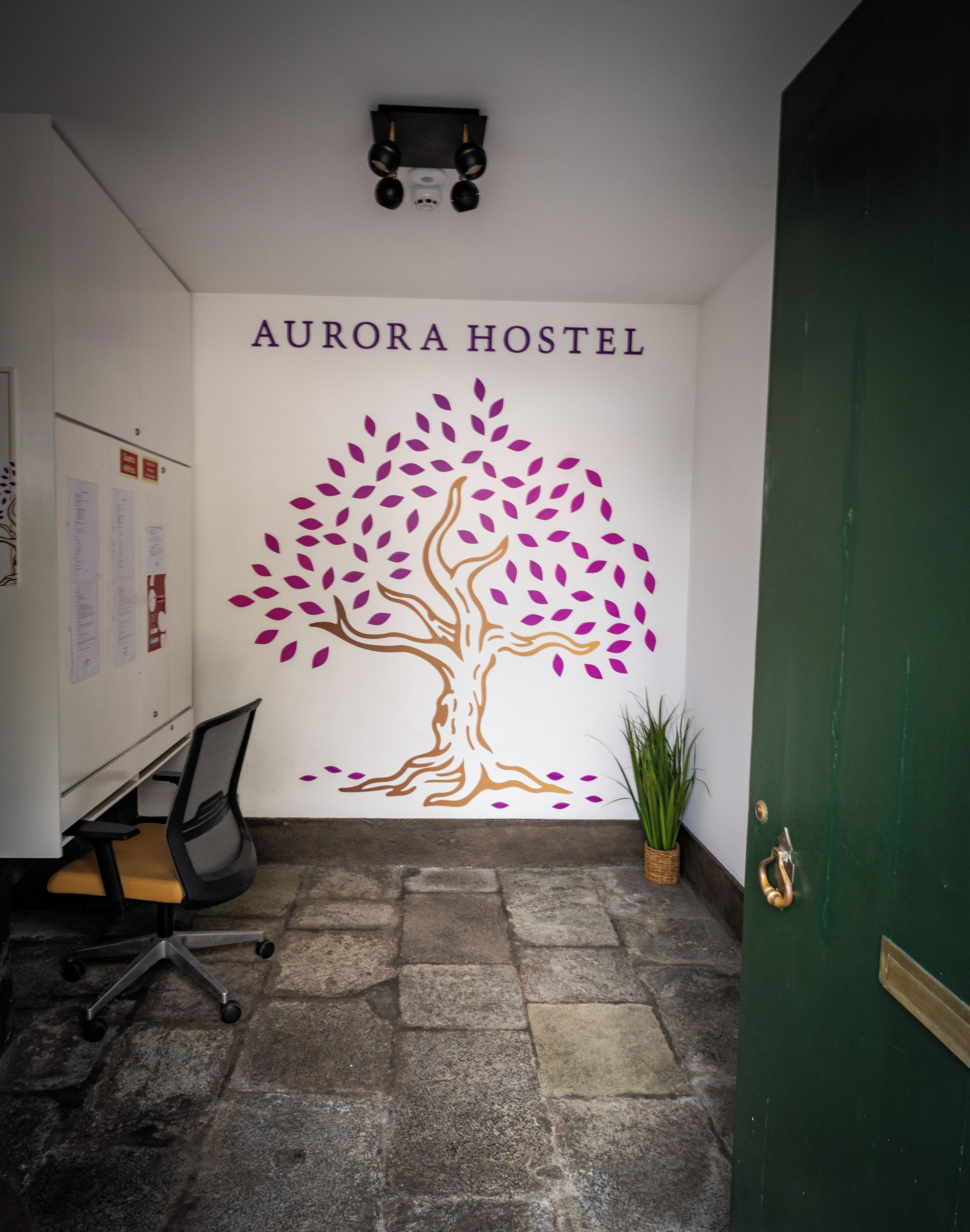A wall with 'AURORA HOSTEL' text and a tree mural. There's a desk with a chair, a potted plant, and a green door.