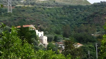 Uma colina com construções, uma torre de transmissão e vegetação densa.