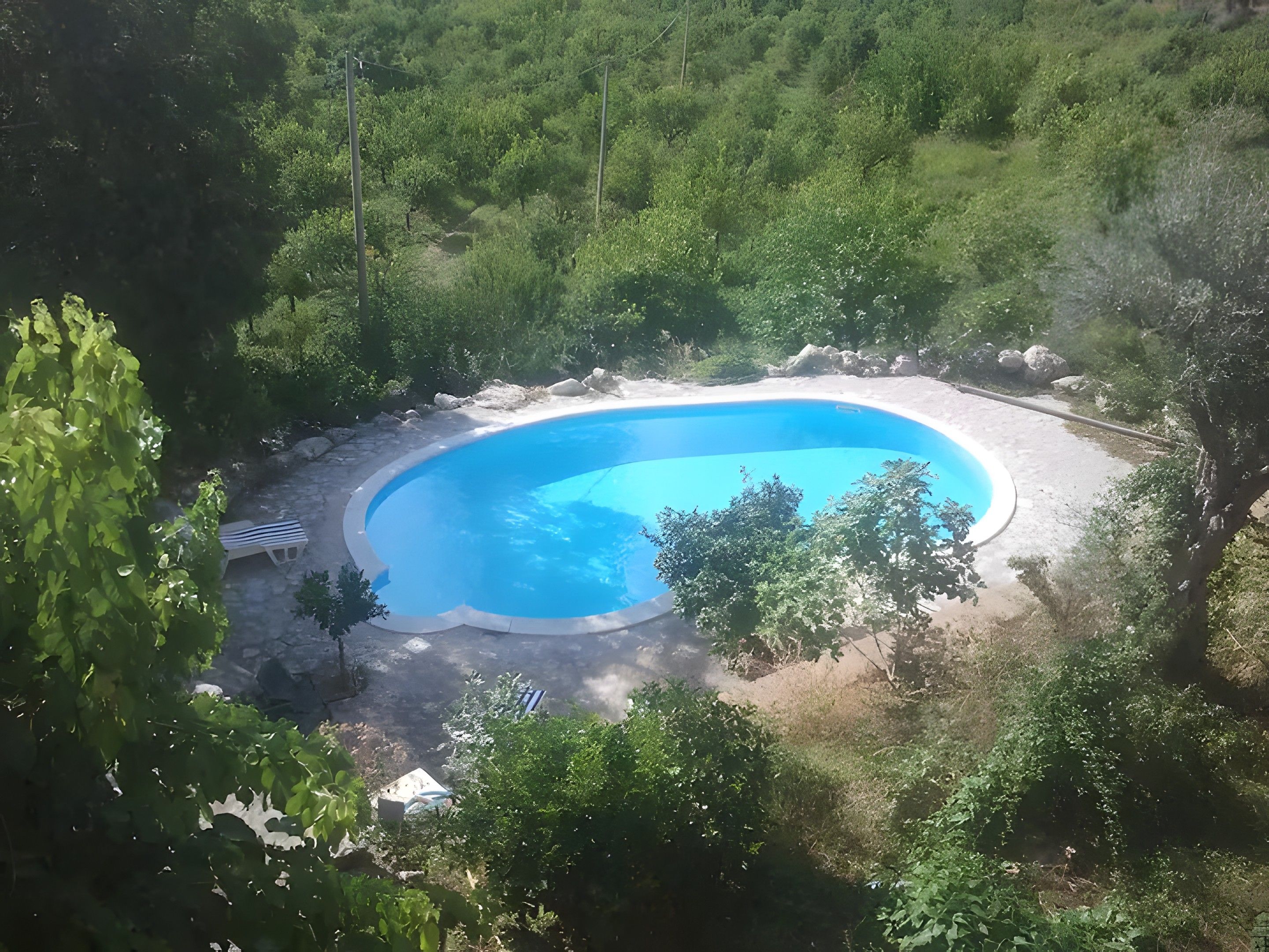 A swimming pool surrounded by greenery, with a bench and a covered area nearby.