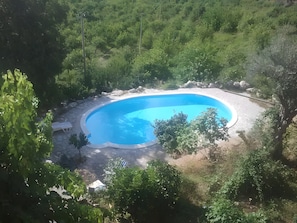 Piscina cercada por vegetação, com um banco e uma área coberta nas proximidades.