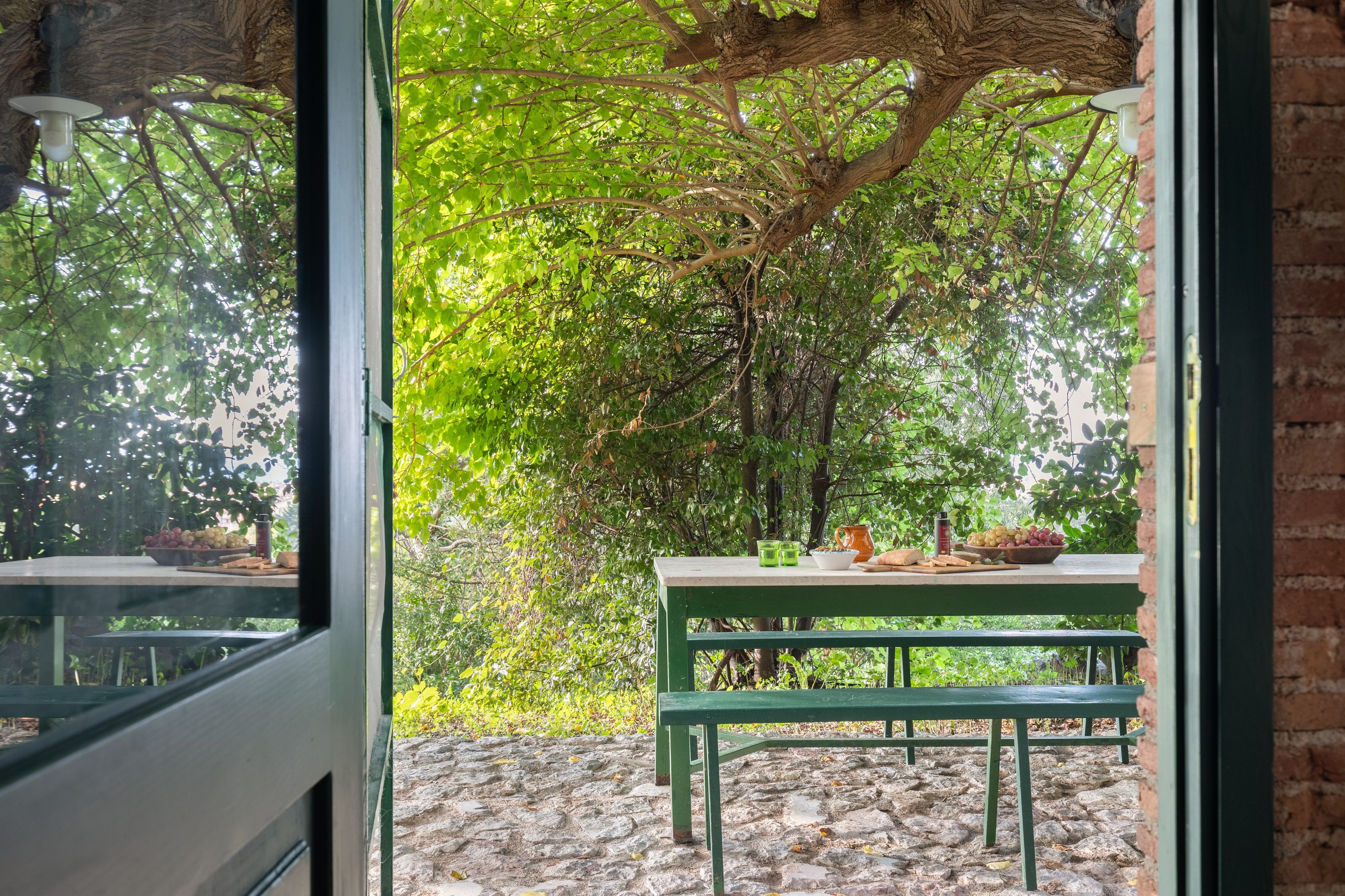 A stone patio with a table and bench, surrounded by lush greenery and a tree.