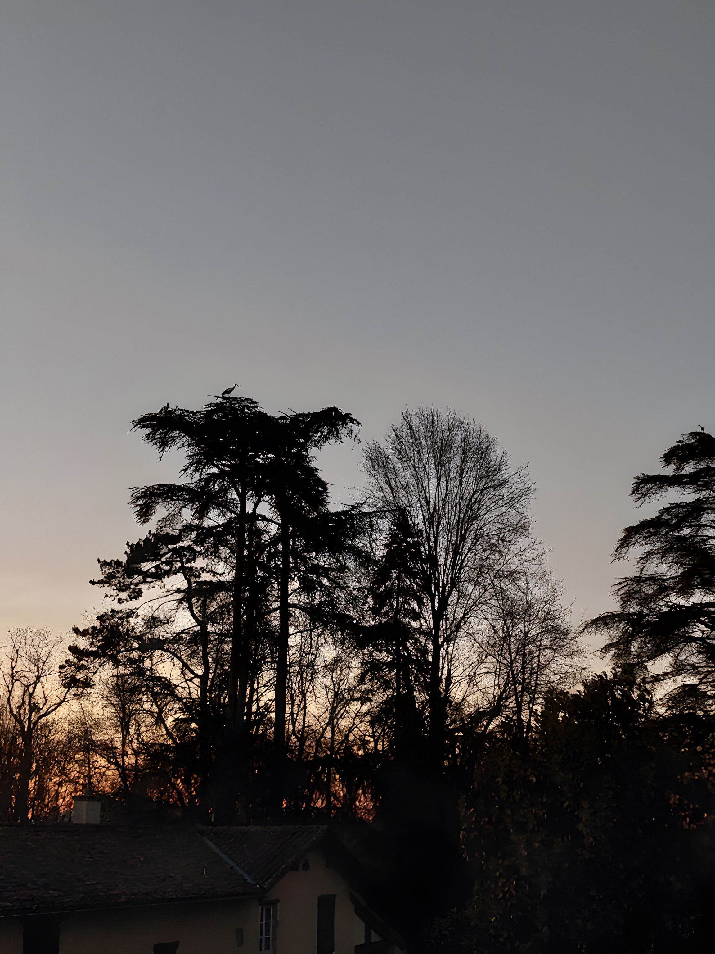 Een silhouet van een huis met schuine dak, omringd door bomen.