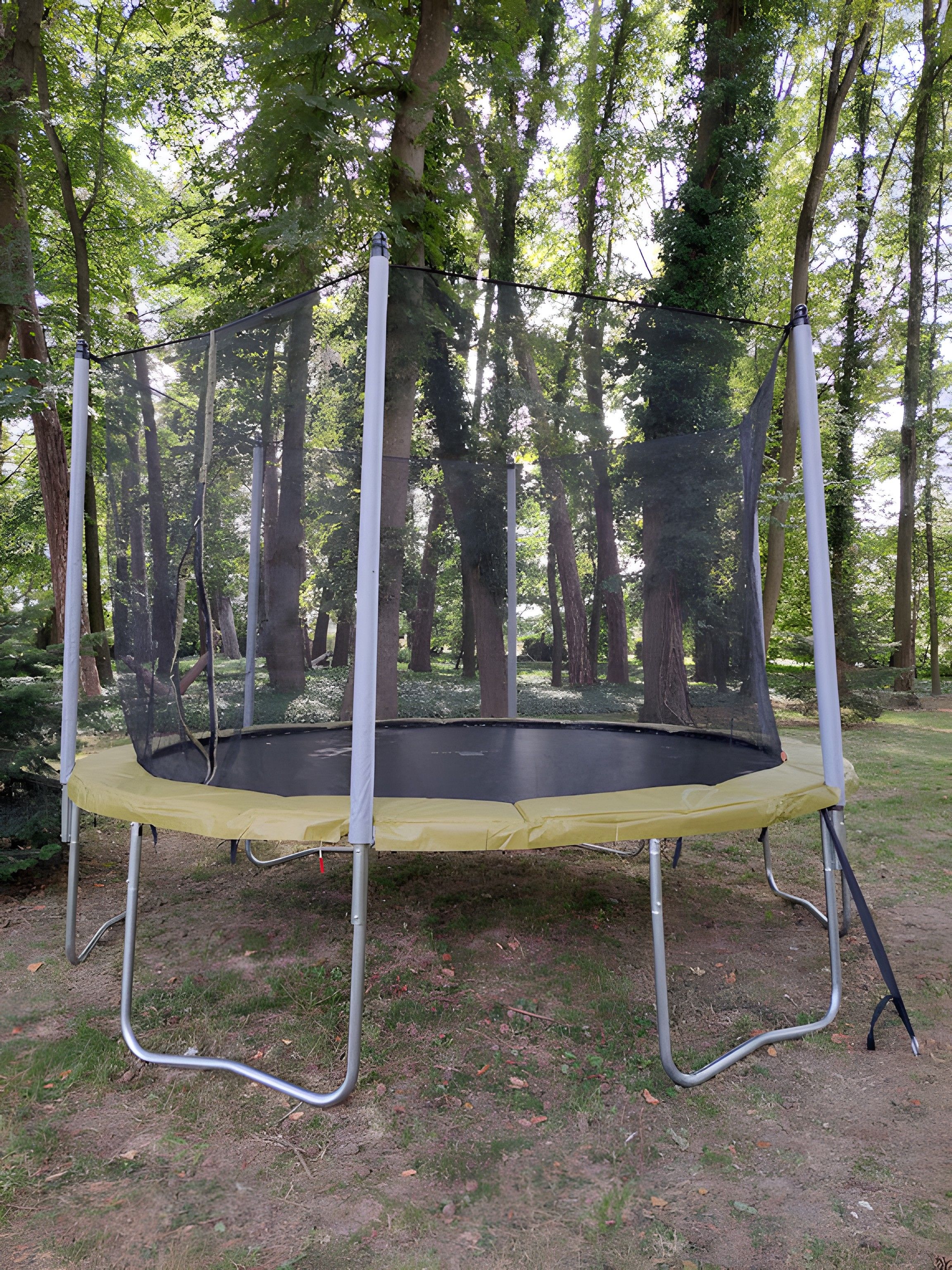 Un trampoline installé dans une zone boisée.