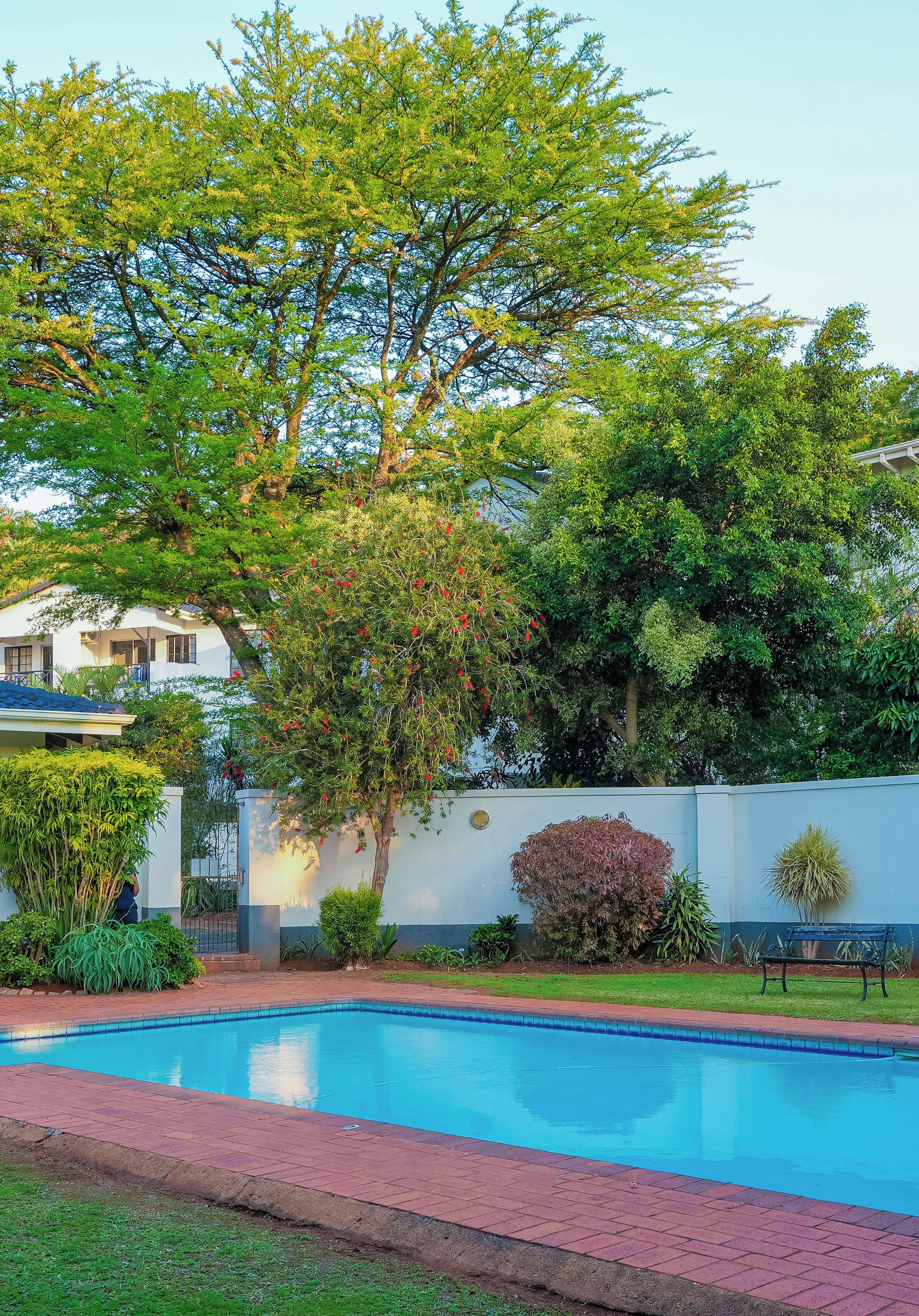 A swimming pool surrounded by lush greenery and a white building.