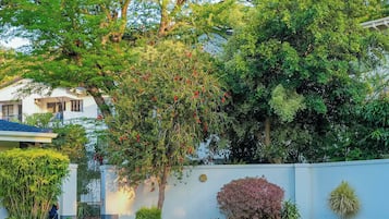 A swimming pool surrounded by lush greenery and a white building.