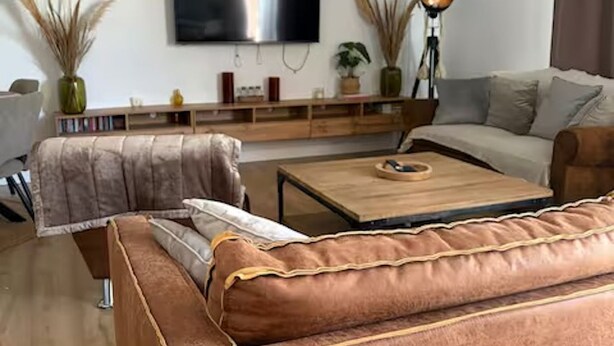 A modern living room with a sofa, a coffee table, a TV, and decorative plants. - Le Pignole · 2-bedroom apartment with AC and parking · Shared pool and garden · Sleeps 5 (Saint-Jory)