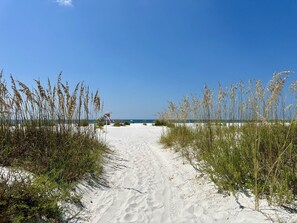 A sandy beach path with tall grass on either side leading to the ocean. - NEW HOME! AMISTAD IS AN UPSCALE 6BD/4BA HOME W/GULF & CANAL VIEWS, PRIVATE POOL! (Mexico Beach)