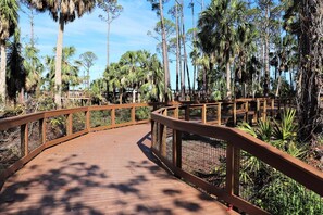 Une promenade en bois dotée d’une rambarde métallique, entourée de grands palmiers et d’une végétation luxuriante.