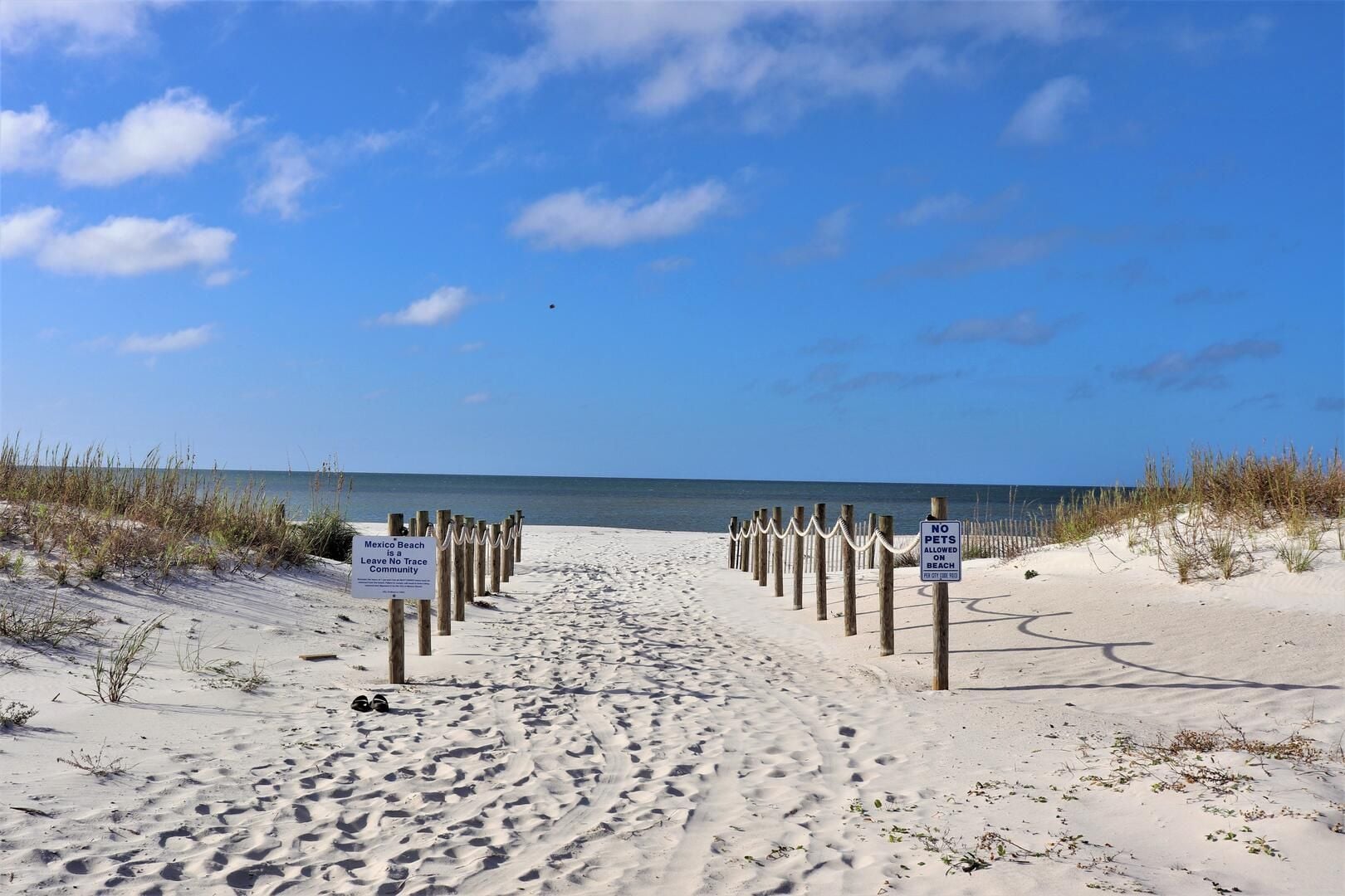 A sandy beach path with signs indicating no pets allowed and no trace allowed.