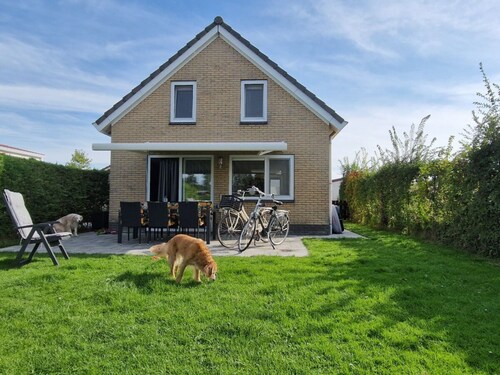 Ijsselmeerstern