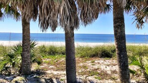 A beach with palm trees and a clear view of the ocean. - "Water of Life" offers panoramic views, steps to the beach, screened-in porch, p (Port Saint Joe)