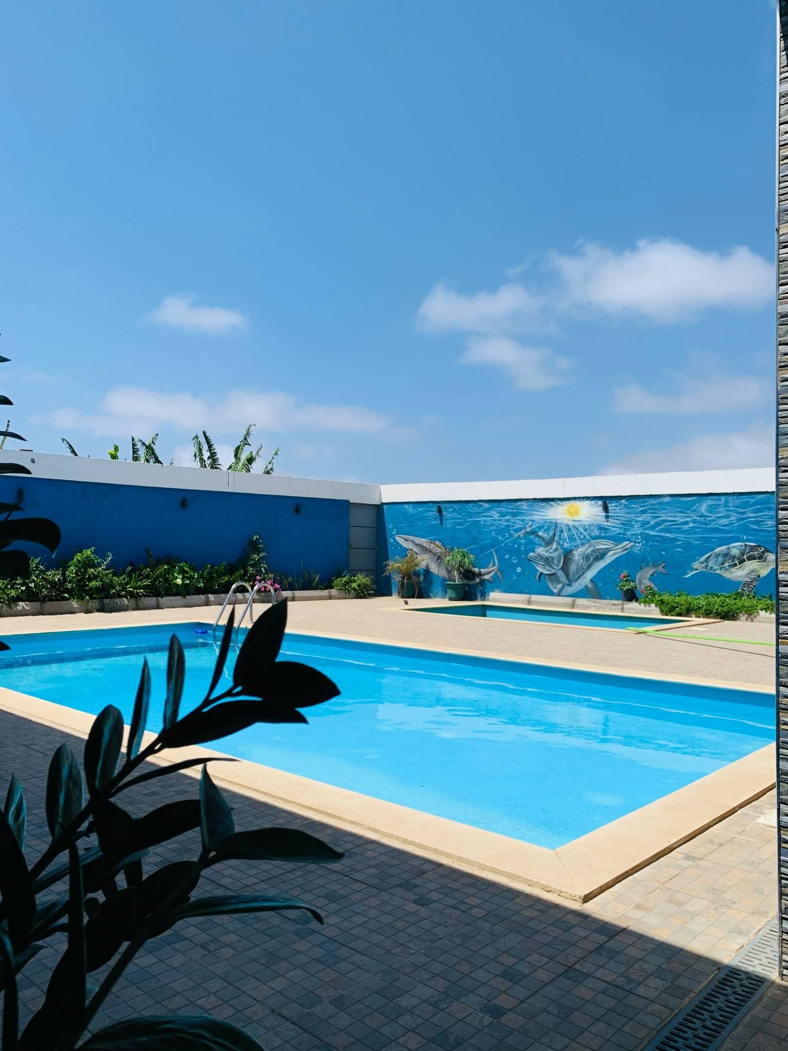 Una piscina con un mural de vida marina en la pared de al lado.