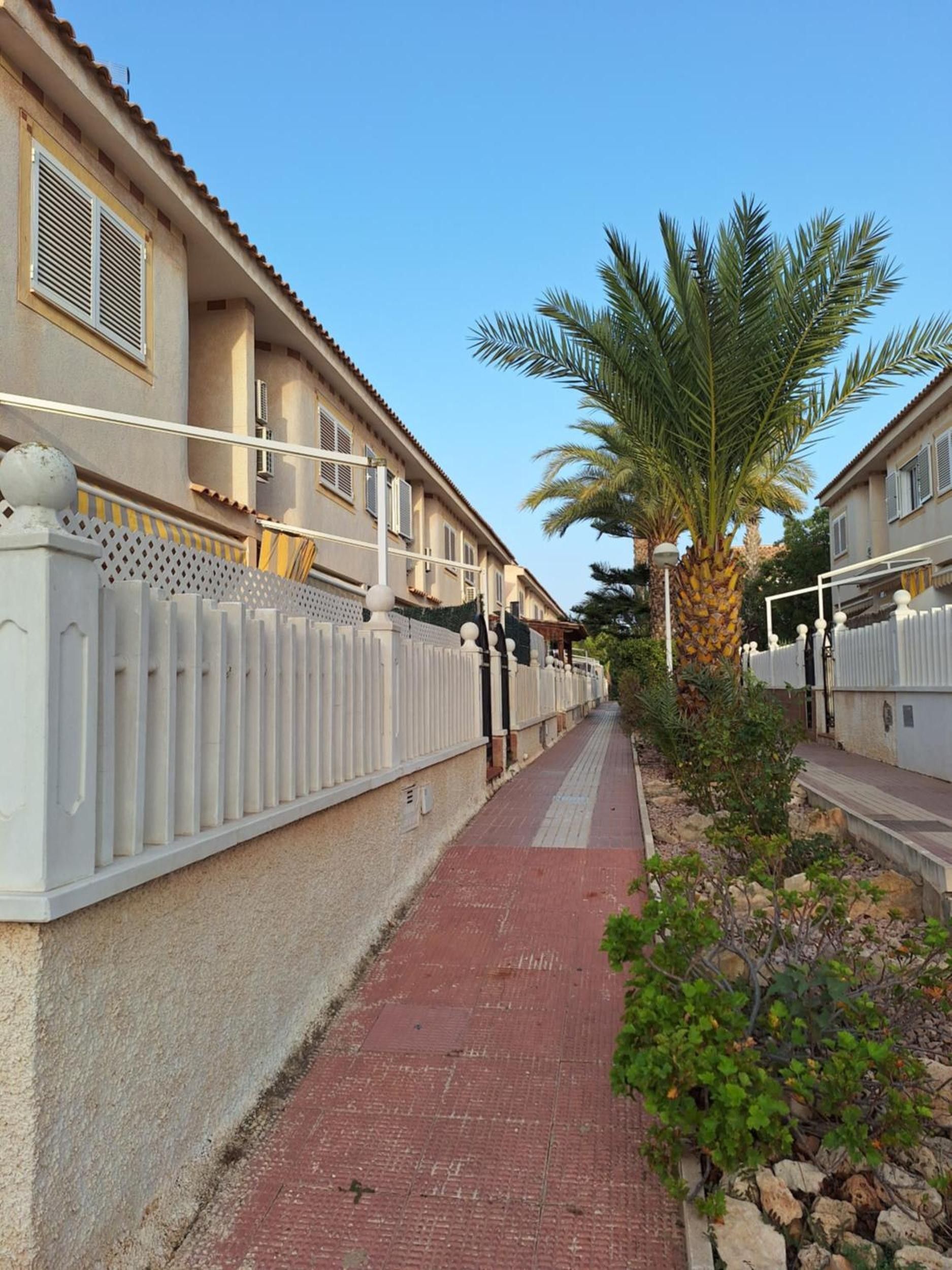 Una calle residencial con sendero adoquinado, cercas blancas y una palmera.