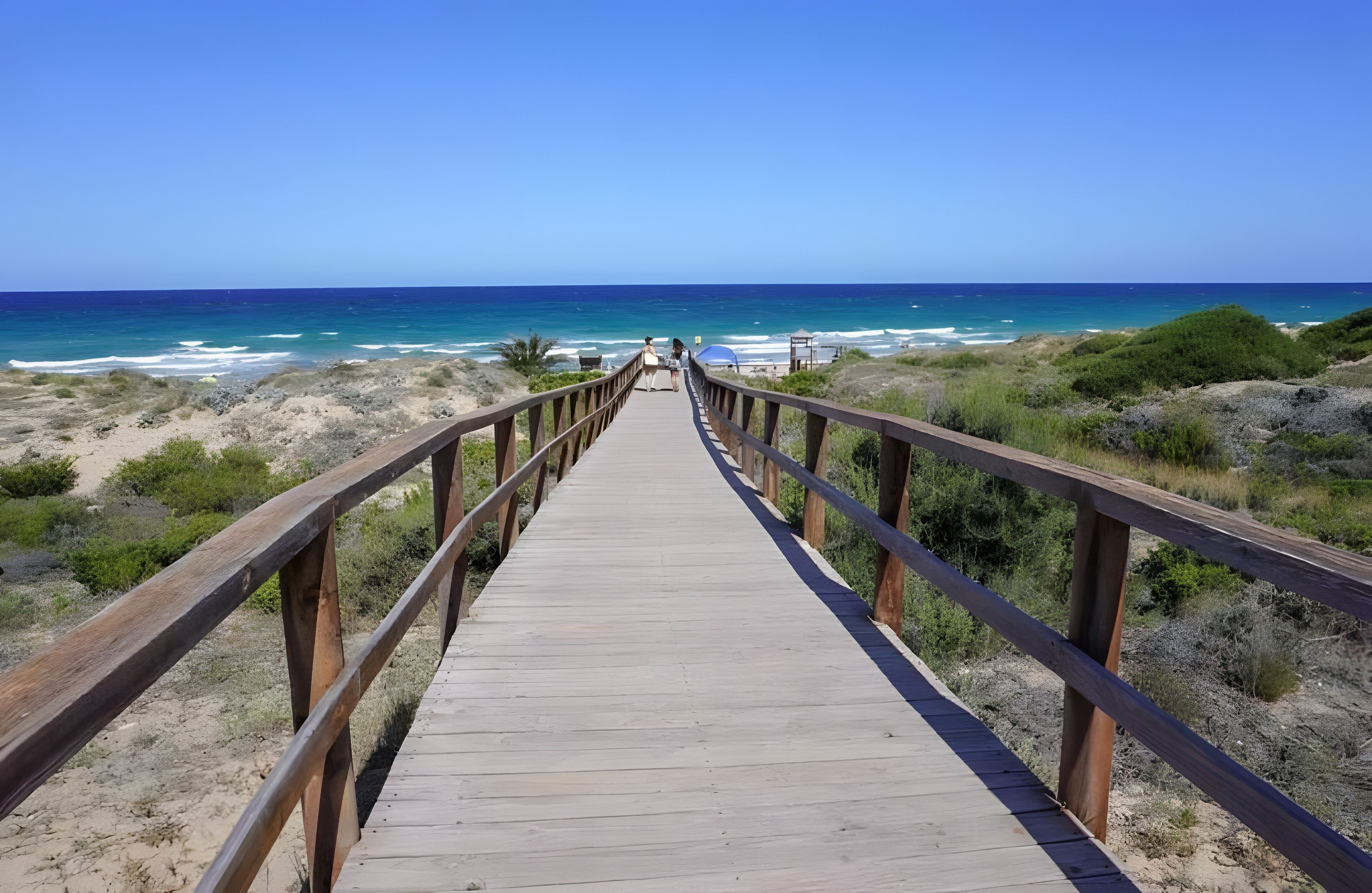Una pasarela de madera que conduce a una playa con vistas al océano.