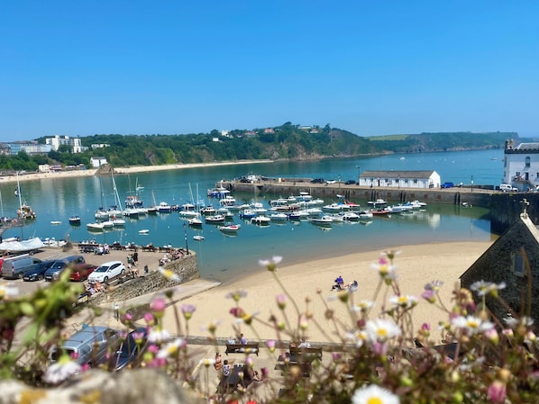 Un port de plaisance situé sur la côte, avec des bateaux, une plage de sable et un mur de pierres.