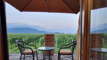 Family Room, Lanai, Vineyard View | Terrace/patio
