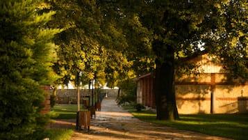 A pathway lined with trees and a brick building in the background.
