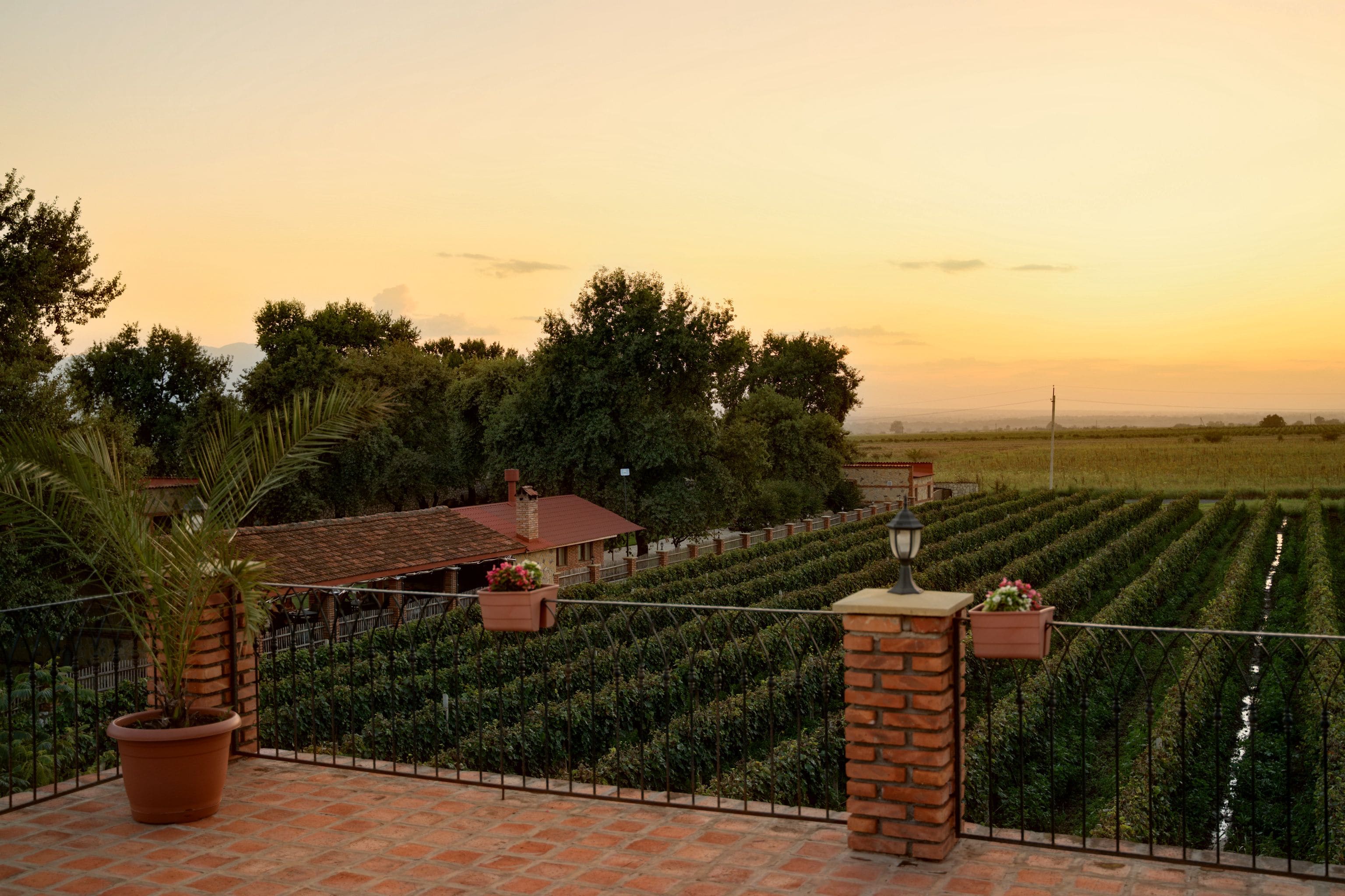 Une terrasse avec vue sur un vignoble, un bâtiment en briques et une clôture en métal.